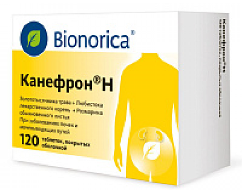 Канефрон H 120 шт. таблетки покрытые оболочкой