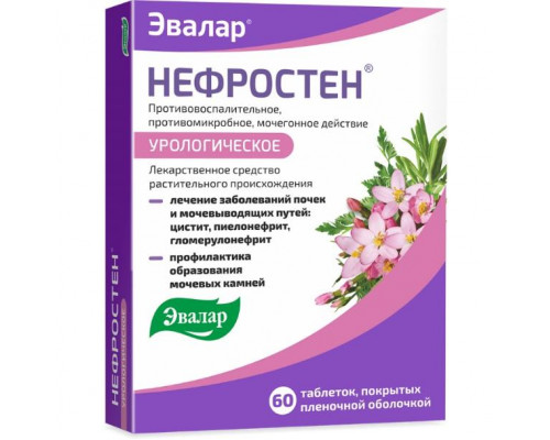 Нефростен