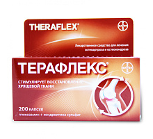 Терафлекс капсулы 200 шт.